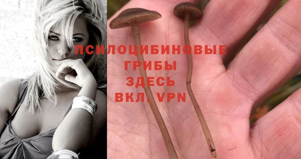 МДМА Верхнеуральск