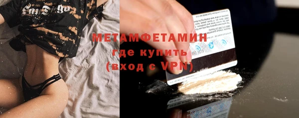 прущие грибы Верея