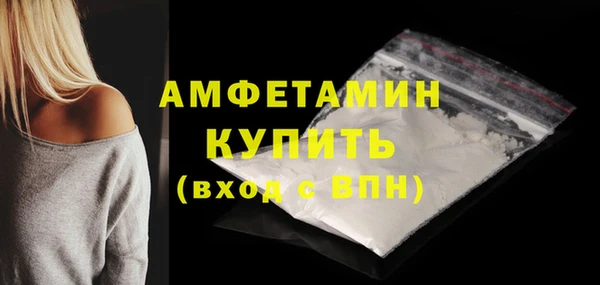 прущие грибы Верея