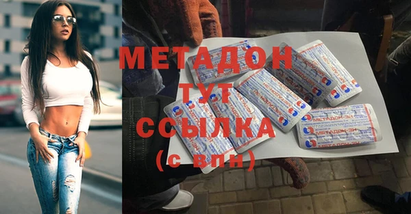 прущие грибы Верея