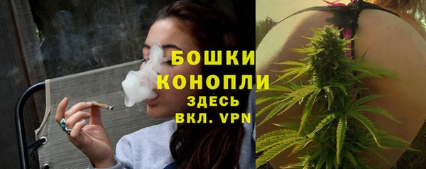 прущие грибы Верея