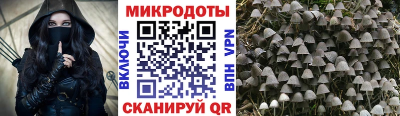 Галлюциногенные грибы прущие грибы  продажа наркотиков  Каменск-Уральский 
